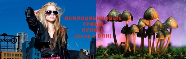 сатива Арсеньев