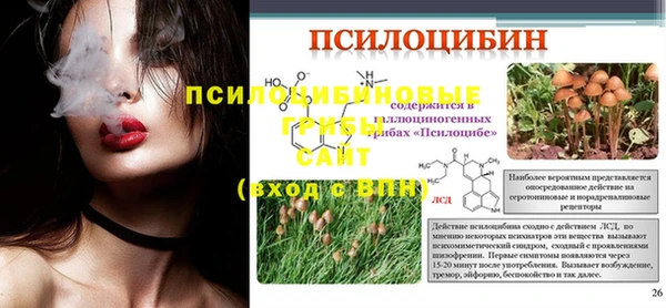 сатива Арсеньев